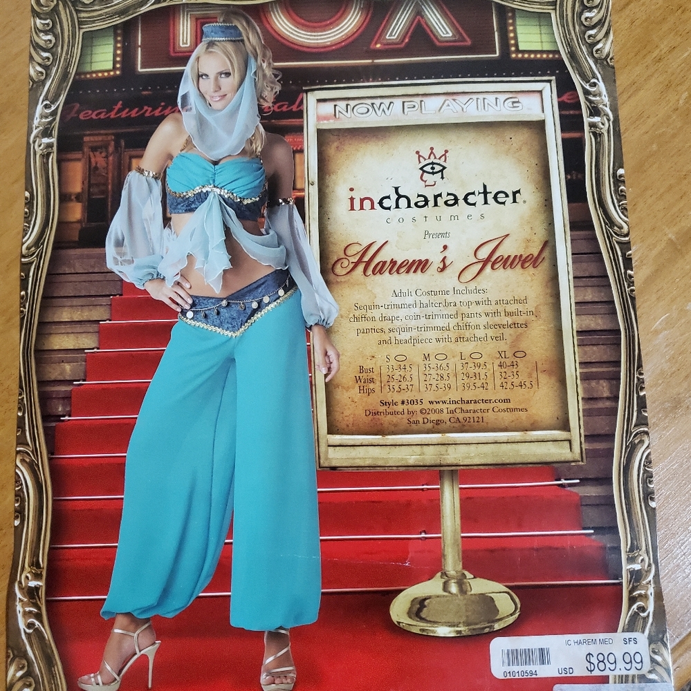 Harem Genie Halloween costume VGUC